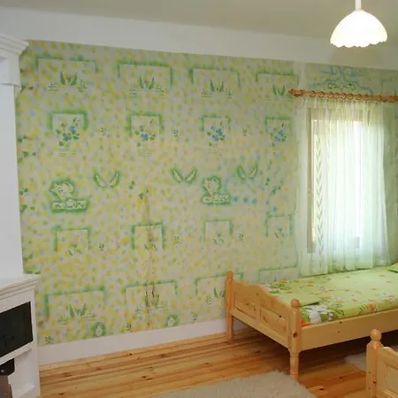 Lazarovata House Holiday home *